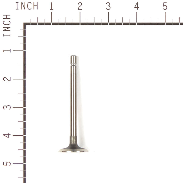 Briggs & Stratton 555551 Intake Valve