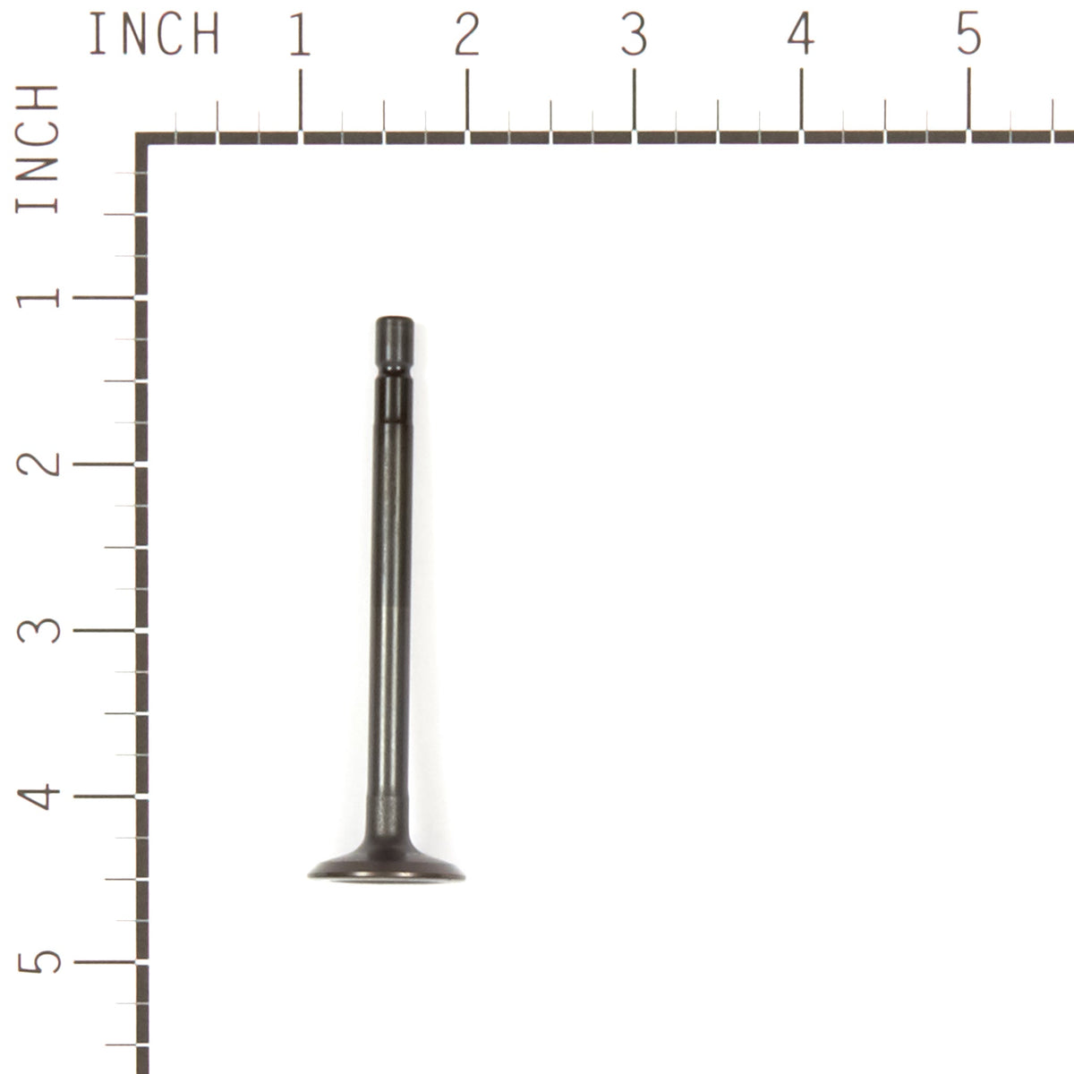 Briggs & Stratton 555552 Exhaust Valve