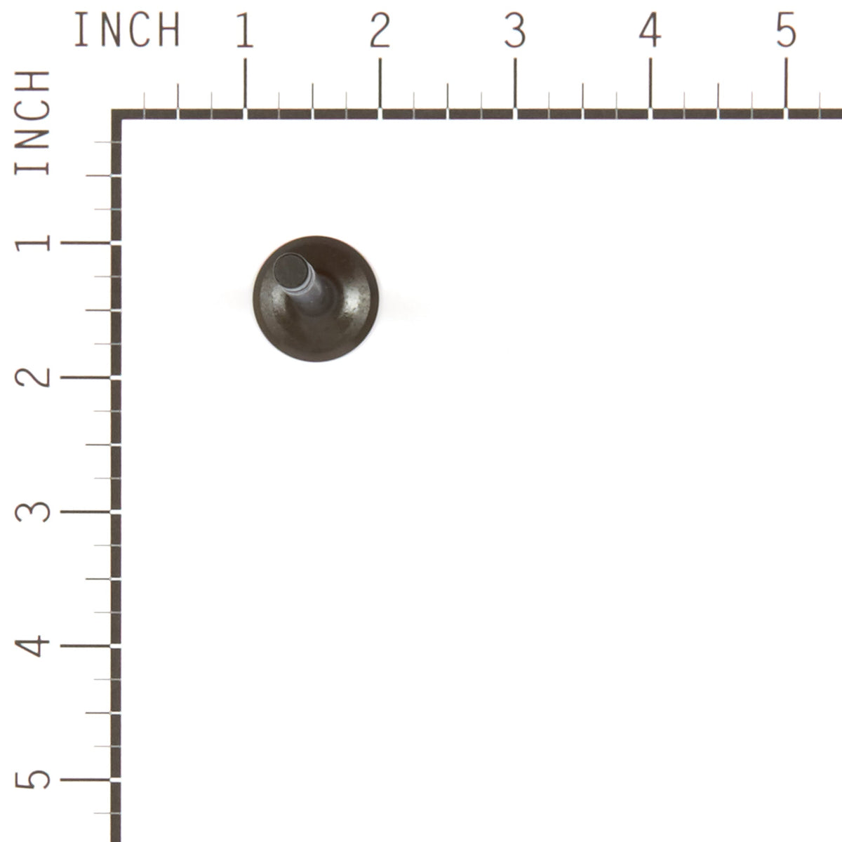 Briggs & Stratton 555552 Exhaust Valve
