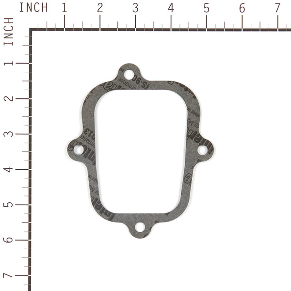 Briggs & Stratton 555581 Valve Gasket Set