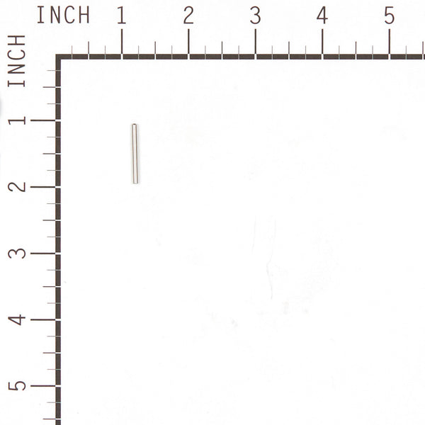 Briggs & Stratton 555591 Carburetor Float