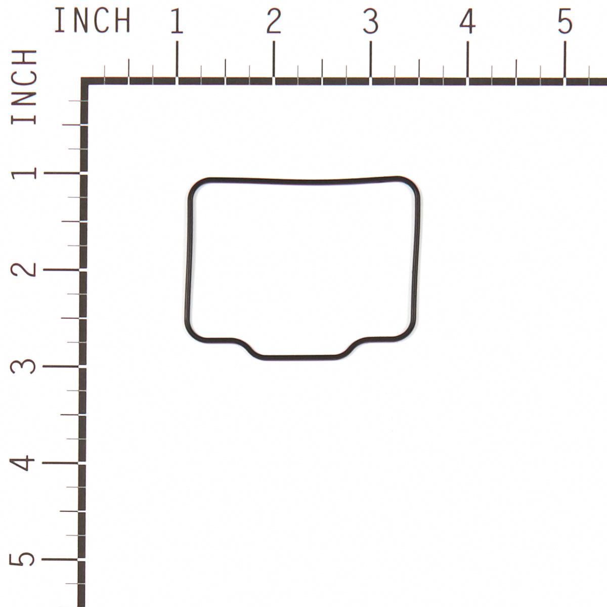 Briggs & Stratton 555592 Float Bowl Gasket