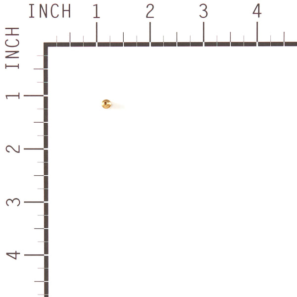 Briggs & Stratton 555594 Pilot Jet