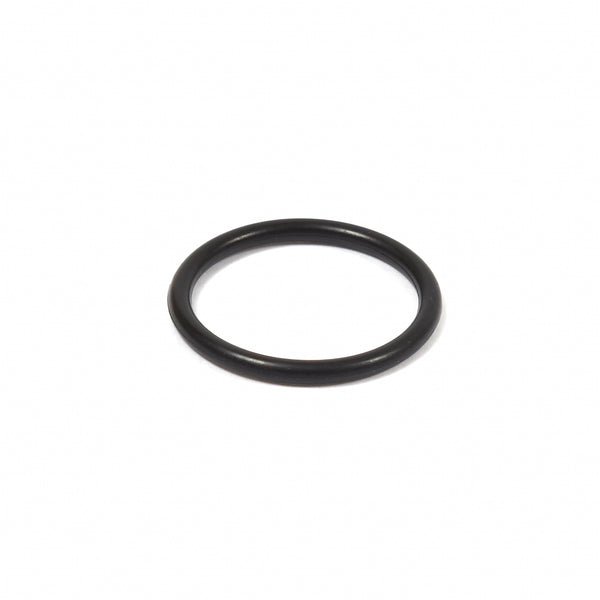 Briggs & Stratton 555601 O-Ring Seal