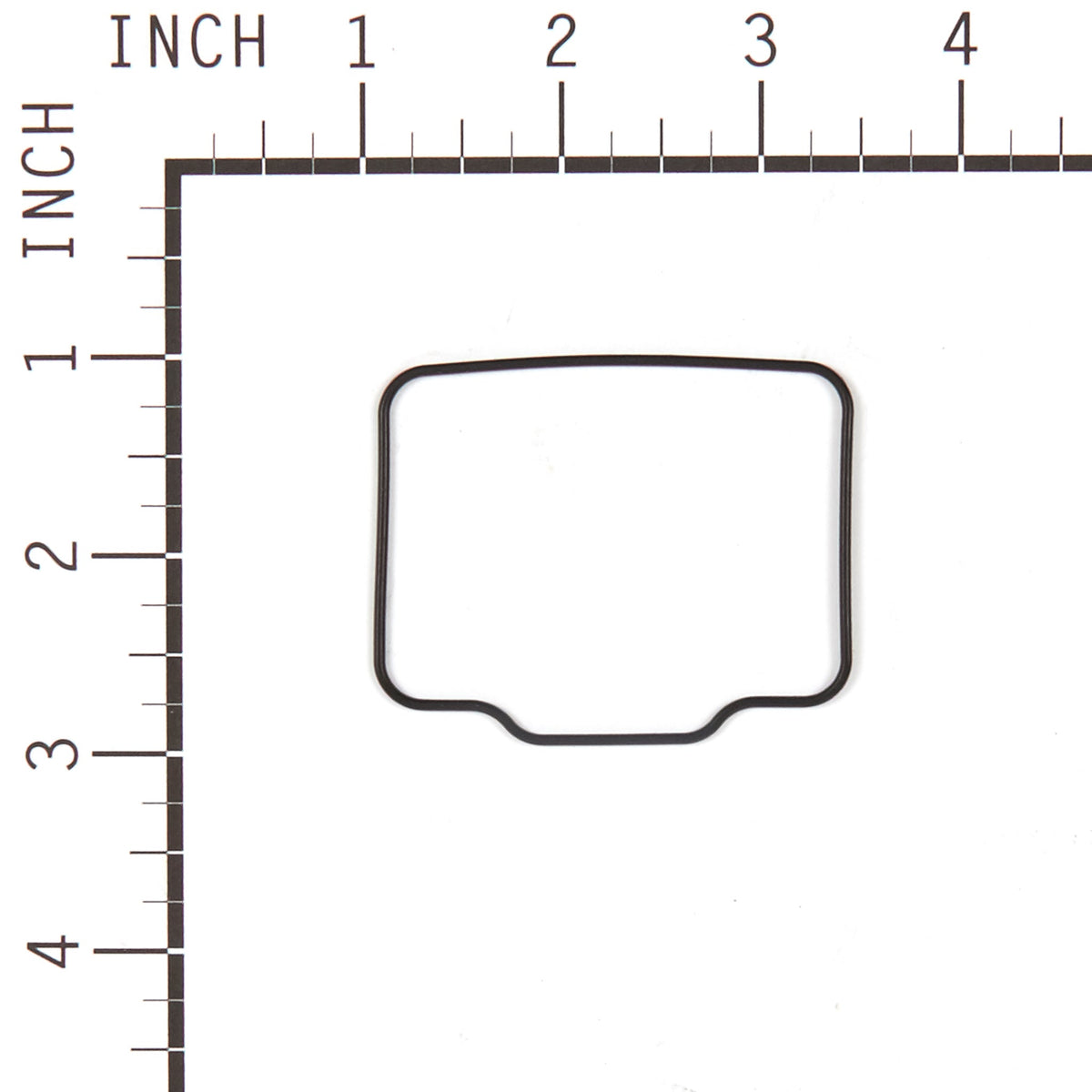 Briggs & Stratton 555605 Carburetor Overhaul Kit