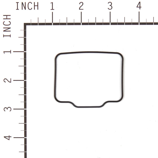 Briggs & Stratton 555605 Carburetor Overhaul Kit