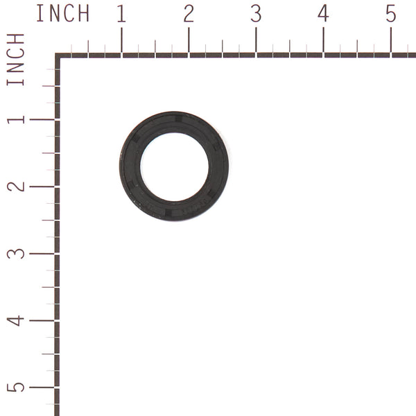 Briggs & Stratton 555631 Engine Gasket Set