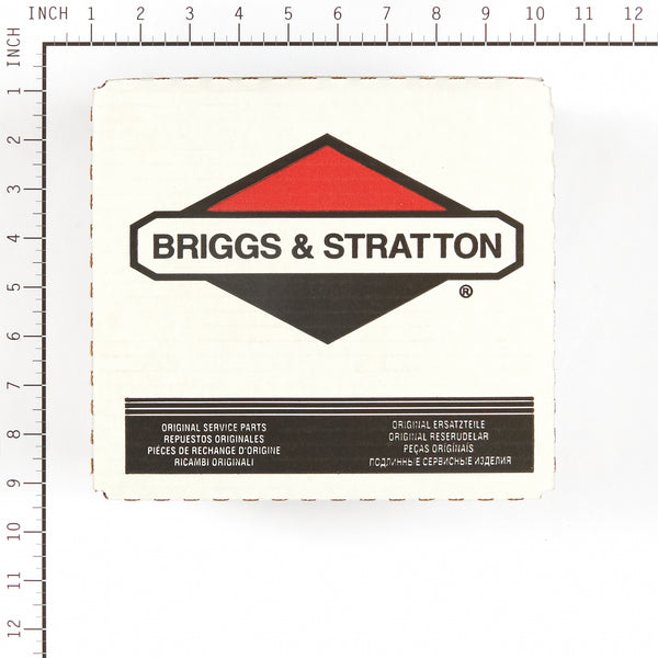 Briggs & Stratton 555635 Cylinder Head