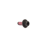 Briggs & Stratton 555644 Screw