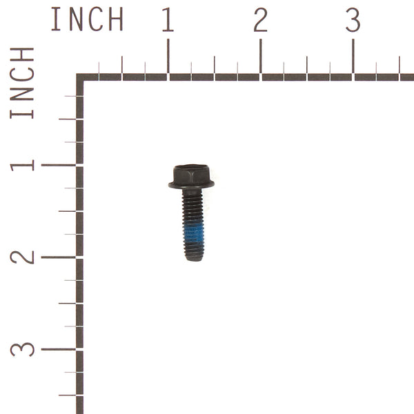 Briggs & Stratton 555646 Hex Washer Head Metric Screw/Nut
