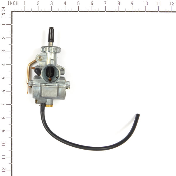 Briggs & Stratton 555658 Carburetor