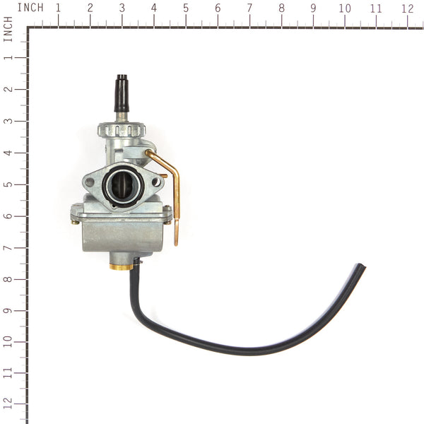 Briggs & Stratton 555658 Carburetor