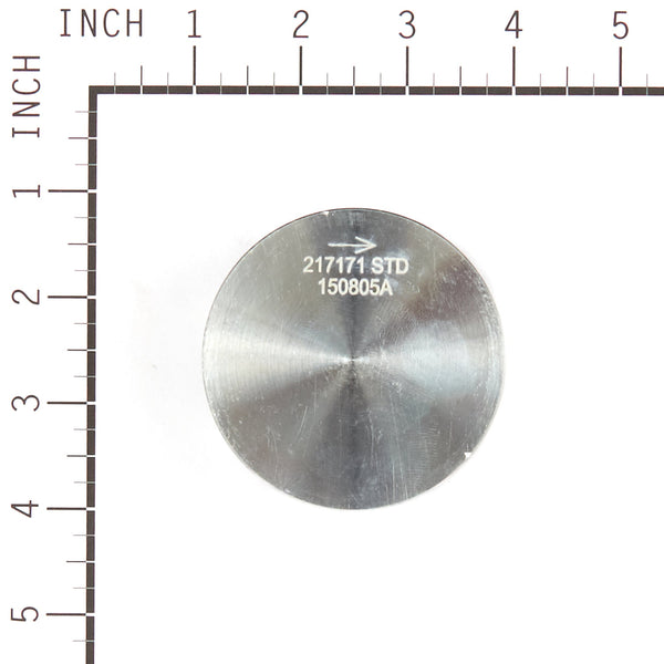 Briggs & Stratton 555660 Piston Assembly
