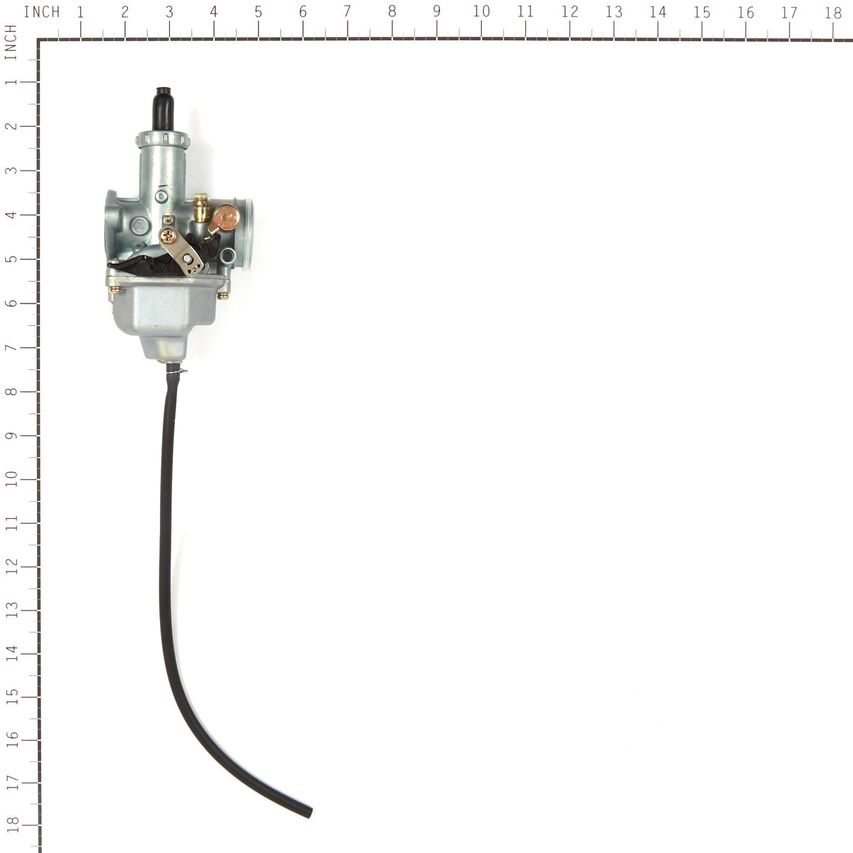 Briggs & Stratton 557006 Carburetor
