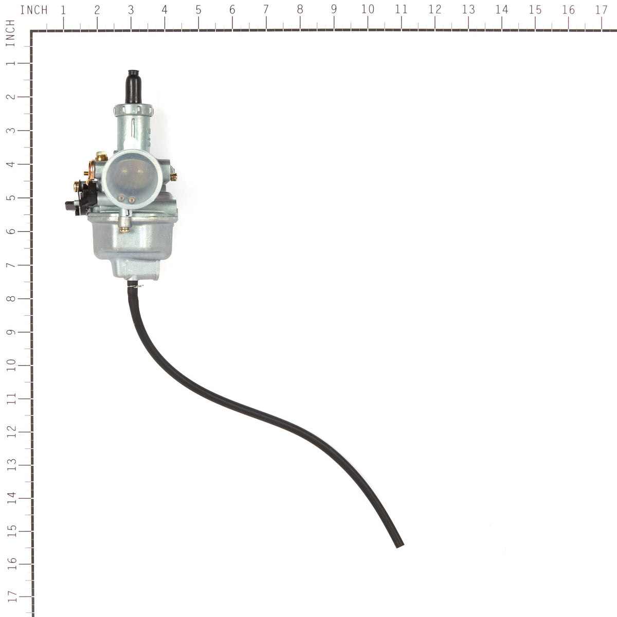 Briggs & Stratton 557006 Carburetor