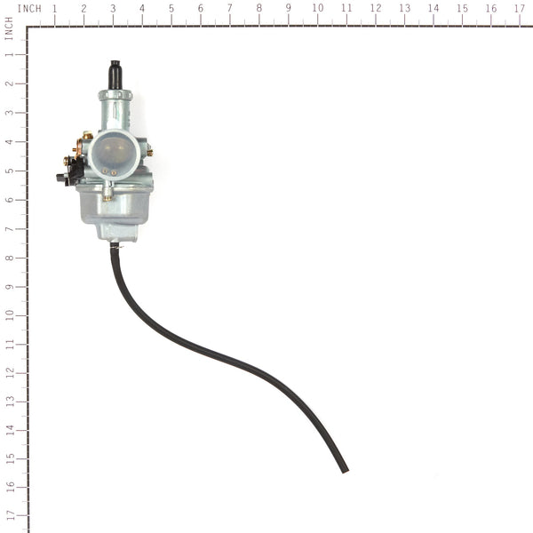 Briggs & Stratton 557006 Carburetor