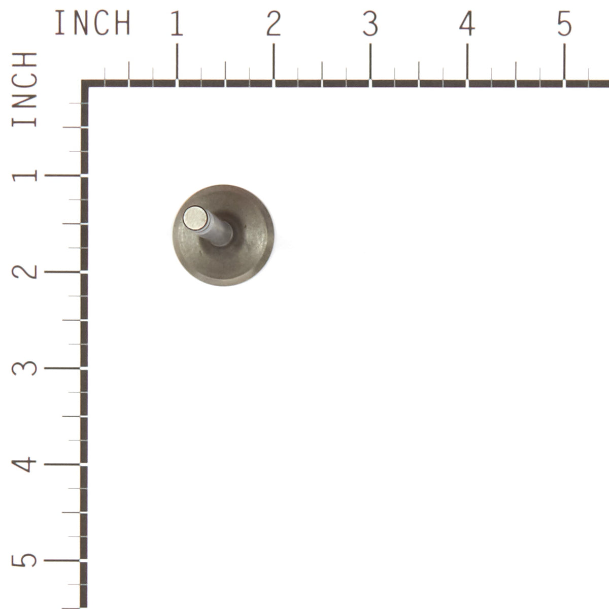Briggs & Stratton 557017 Intake Valve