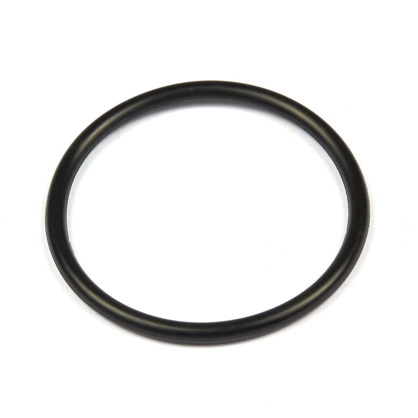 Briggs & Stratton 690589 O-Ring Seal