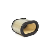 Briggs & Stratton 695302 Air Cleaner Cartridge Filter