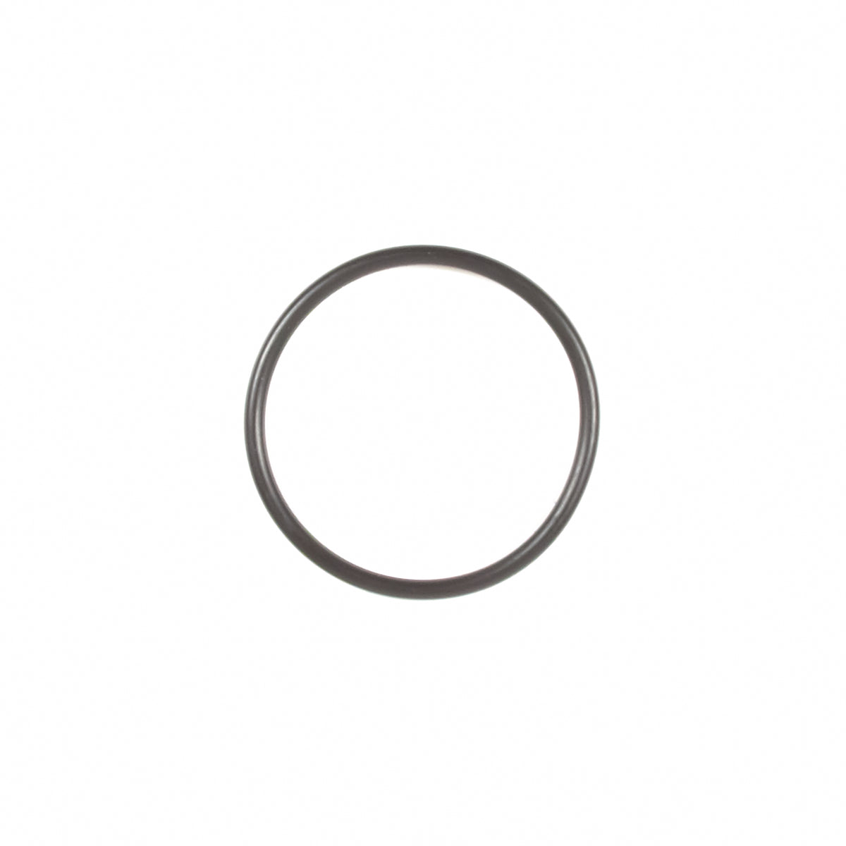 Briggs & Stratton 697123 O-Ring Seal