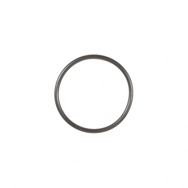 Briggs & Stratton 697123 O-Ring Seal