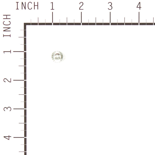 Briggs & Stratton 699228 Screw