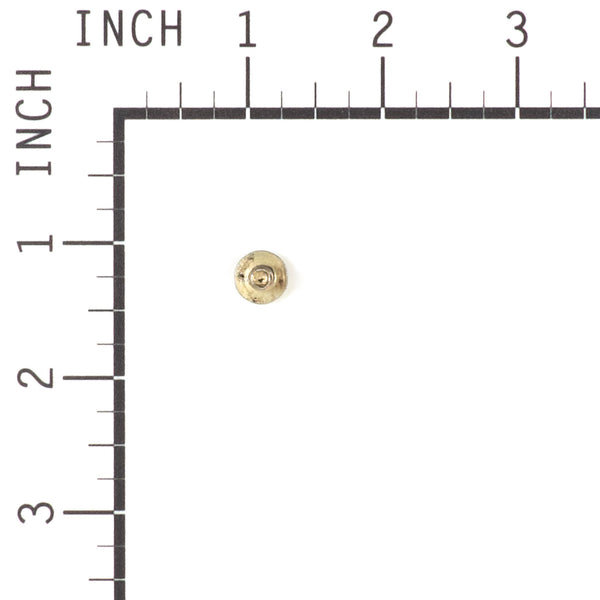 Briggs & Stratton 699234 Screw