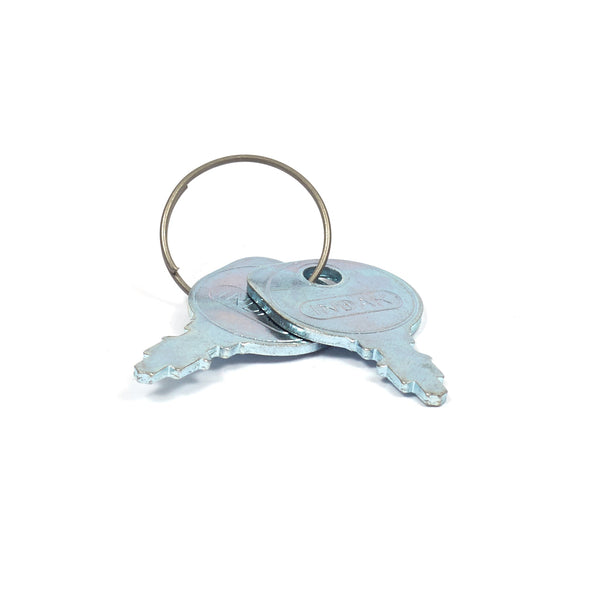 Briggs & Stratton 7011138YP IGNITION KEY PAIR