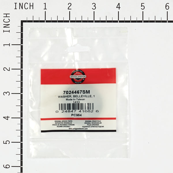 Briggs & Stratton 7024467SM Belleville Washer