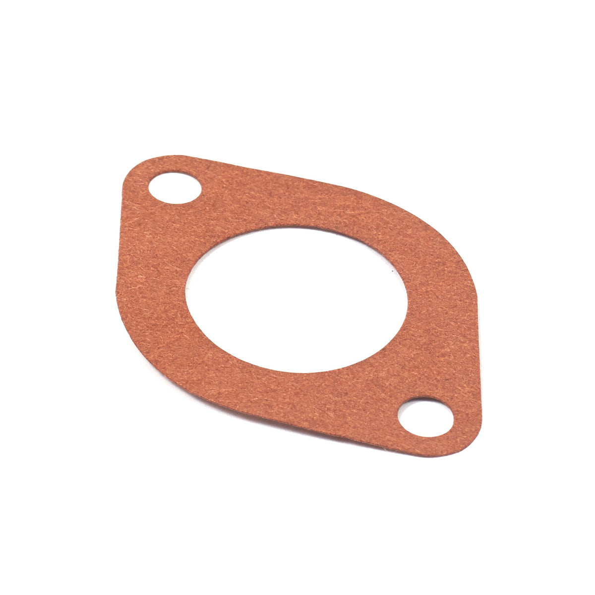 Briggs & Stratton 710559 Intake Gasket