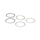 Briggs & Stratton 795431 Ring Set