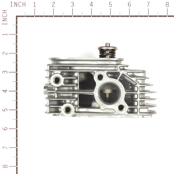 Briggs and Stratton 809201 Cylinder Head