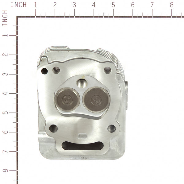 Briggs and Stratton 809201 Cylinder Head