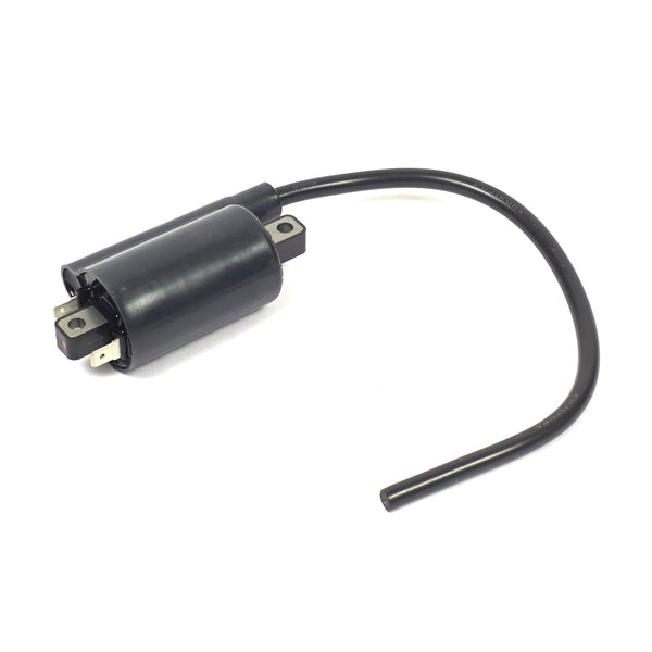 Briggs & Stratton 820037 Ignition Coil