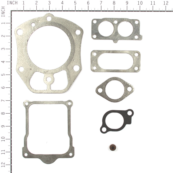 Briggs & Stratton 843713 Valve Gasket Set
