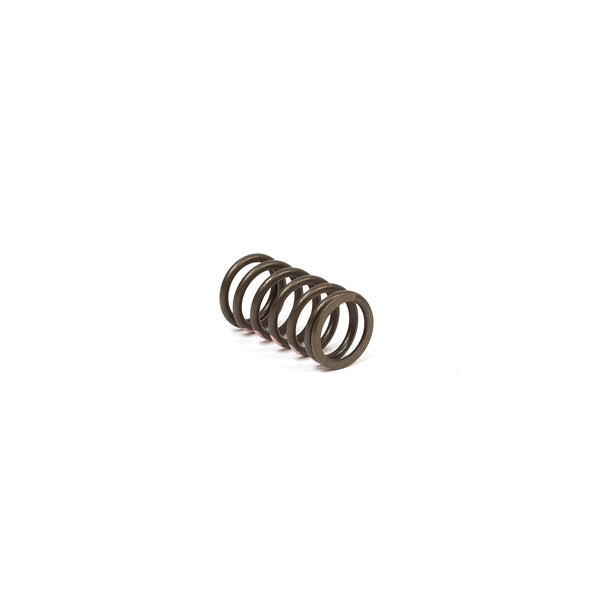 Briggs & Stratton 845589 Valve Spring