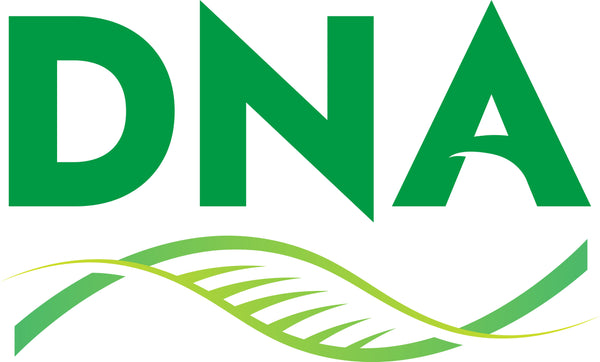 Daye 2109600036A DRIVE BELT