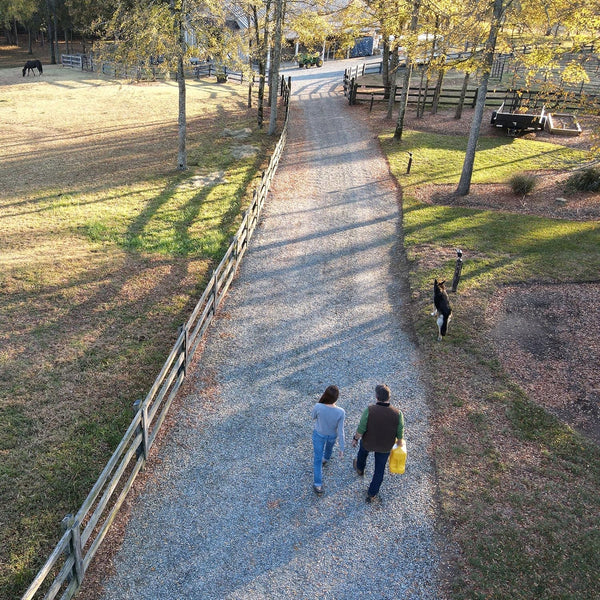 Scepter FSCRVD5 Smart Control Military Style RV Diesel Can, 5 Gallon