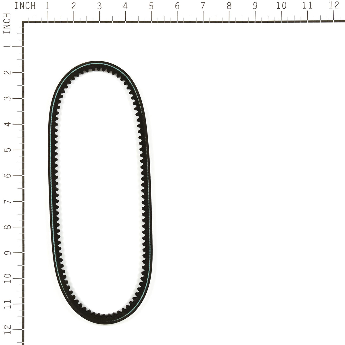 Oregon 75-938 Equipment Belt