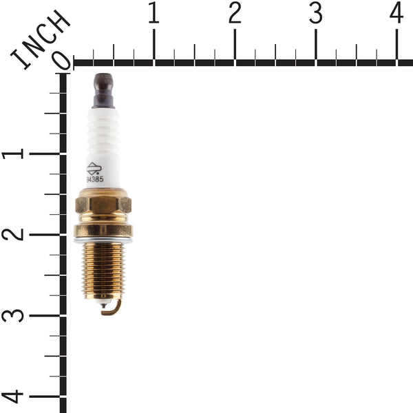 Briggs & Stratton 4173 Spark Plug (24 X 696202)