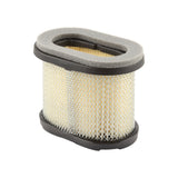 Briggs and Stratton 4207 Air Filter  (4 x 697029)