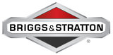 Briggs and Stratton 316866GS Fuel Regulator