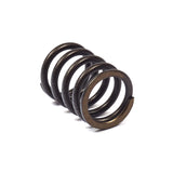 Briggs and Stratton 820406 Valve Spring