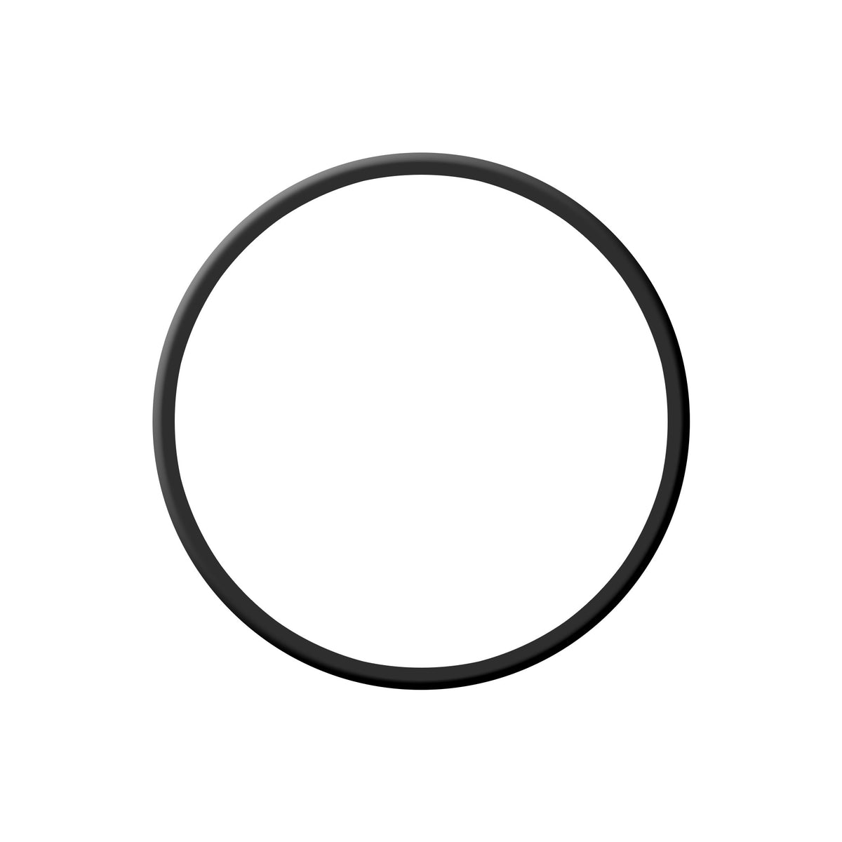 No Spill 6235 O-Ring for Fuel Container Nozzle