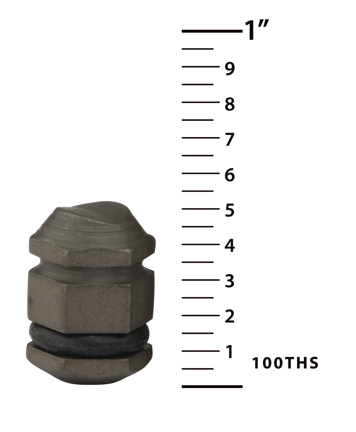 Oregon 26890 Anvil for 1/4" and .325"