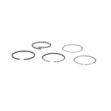 Briggs and Stratton 399067 Ring Set