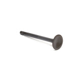 Briggs and Stratton 555552 Exhaust Valve