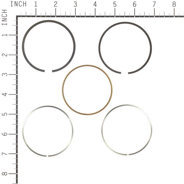Briggs & Stratton 795690 Ring Set