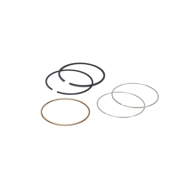 Briggs & Stratton 795690 Ring Set