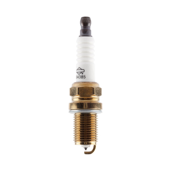 Briggs & Stratton 4173 Spark Plug (24 X 696202)